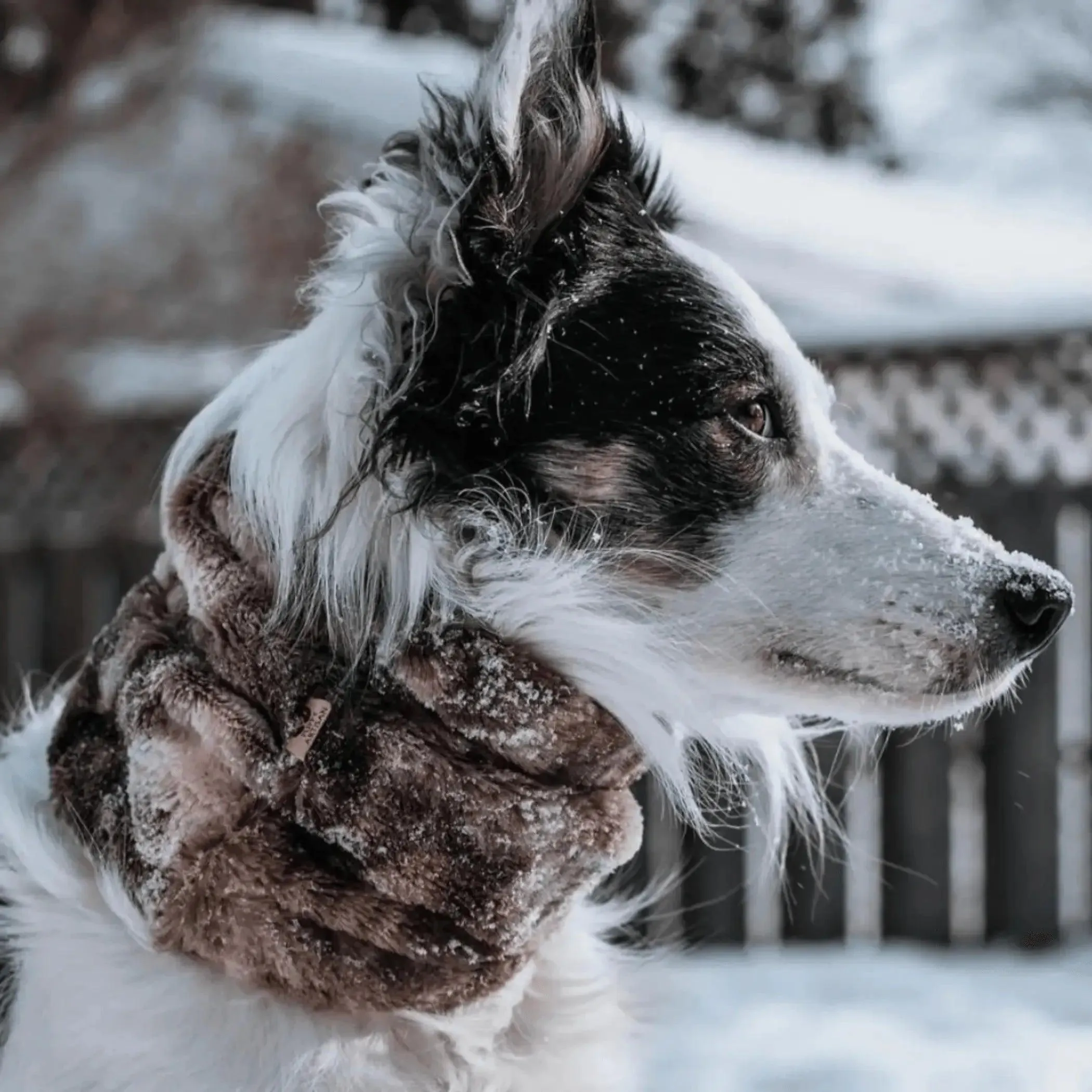 Faux Fur Infinity Scarf