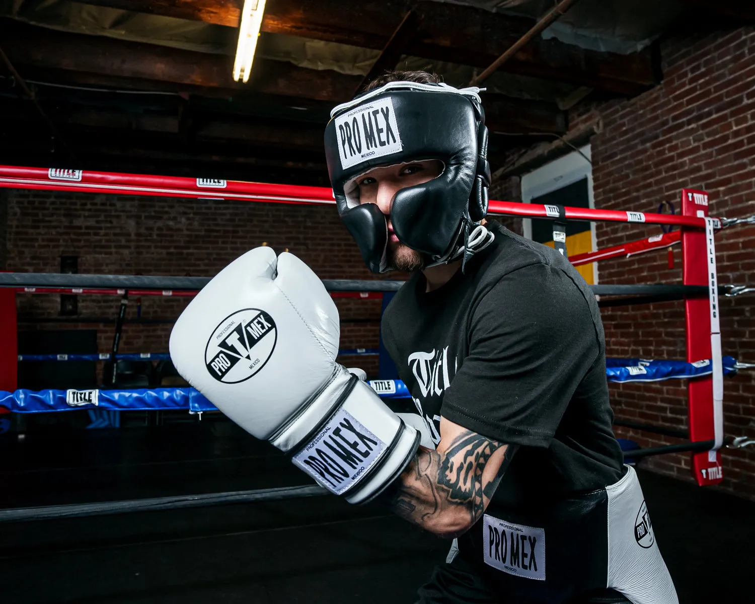 Pro Mex Professional Training Gloves 3.0